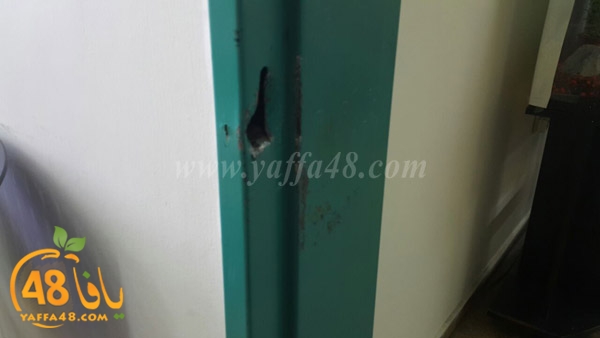 stealing jamaheryr3 (4).JPG